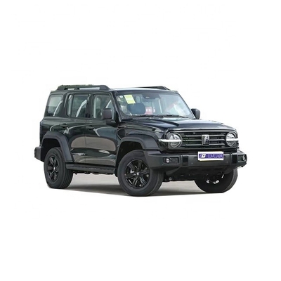 Mês 8 Special Great Wall Motors Tank 300 Veículo Off Road com Roof Rack de Metal resistente